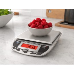 MyWeigh 3001P Stříbrná do 3000g / 1g
